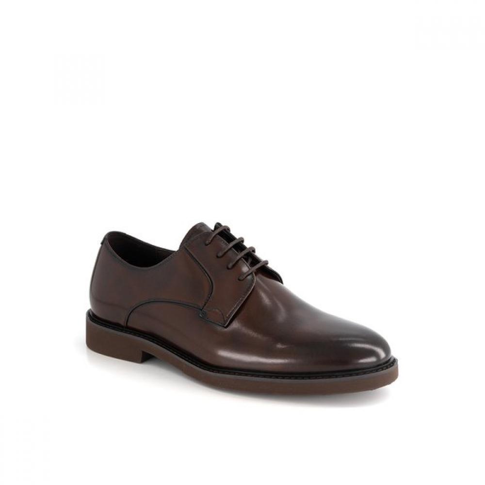 Tandy Men S Derby ShoeS caSual Brown Q19130 245