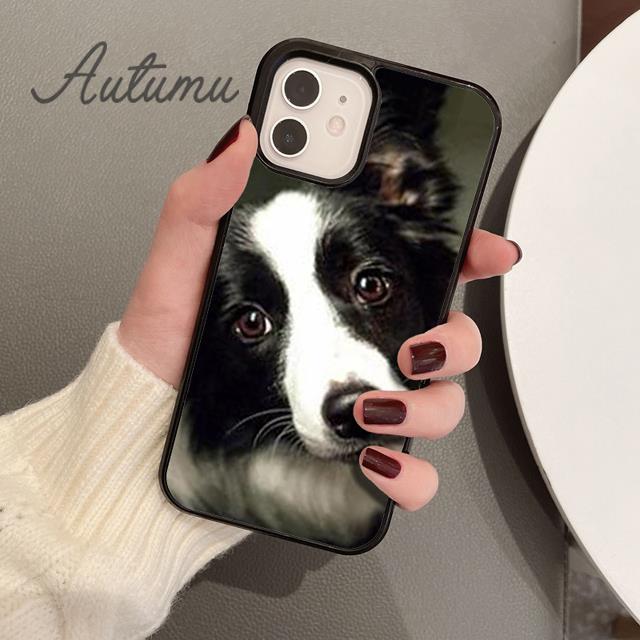 Süße Border Collie Hund Haustier Handyhülle für iPhone 11 12 13 14 Pro Max Mini XR XS SE 2020 6S 7 8 Plus Samsung Galaxy S21 S22 Cover
