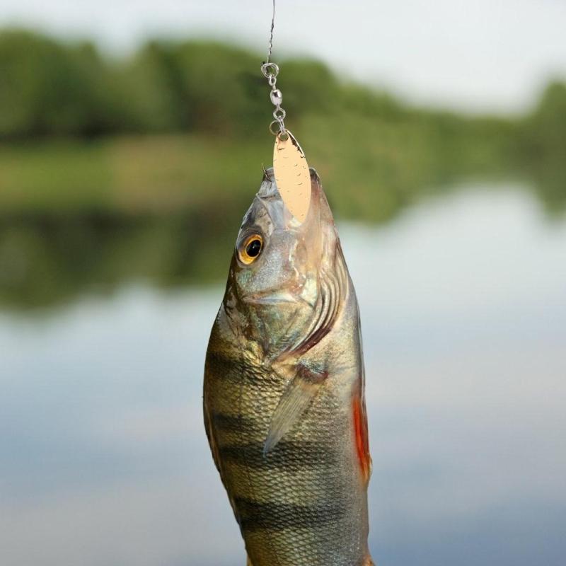 50st Spinnfiskebeten Beten Sked Ersättningsspinnare Beten Tackel Roterande Paljetter Fisketillbehör