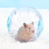 Plastic Small Pet Outdoor Sport Ball Grounder Jogging Hamster Pet Small Exercise Toy