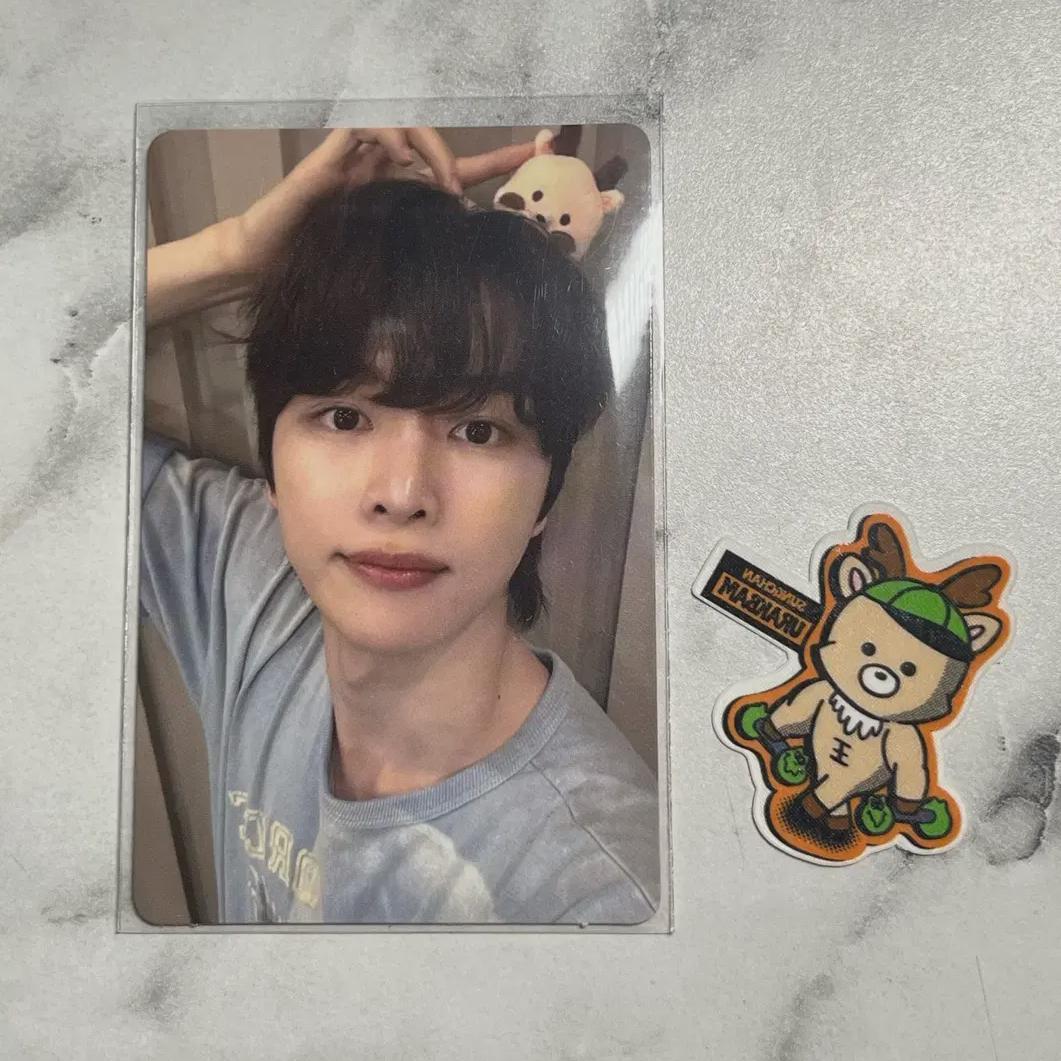 

Фотокарточка Everrise Sungchan