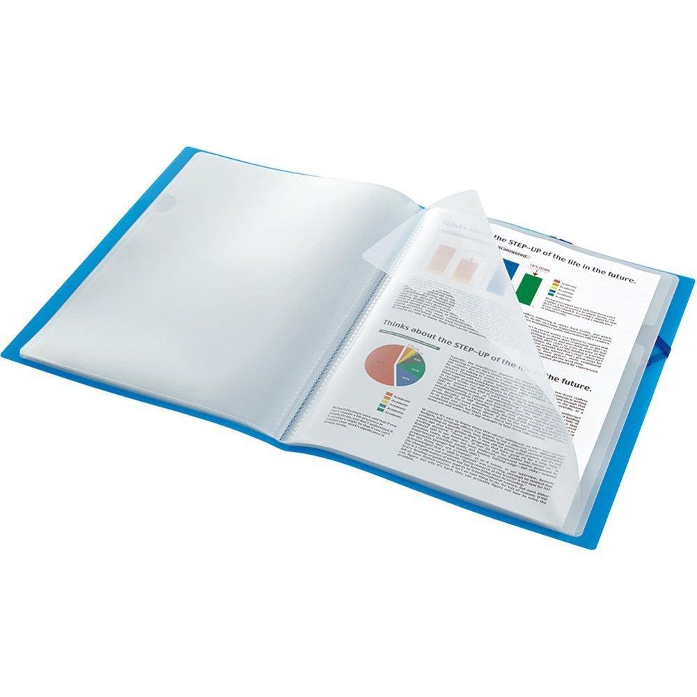 Clear File Folder Holder-In 12-Pocket A4 Portrait Blue 6171-3T-B