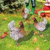 Chicken Garden Stakes Ornaments Rooster Hen Lawn Insert Signs Outdoor Decoration Animal Sculpture Statue Yard Signs