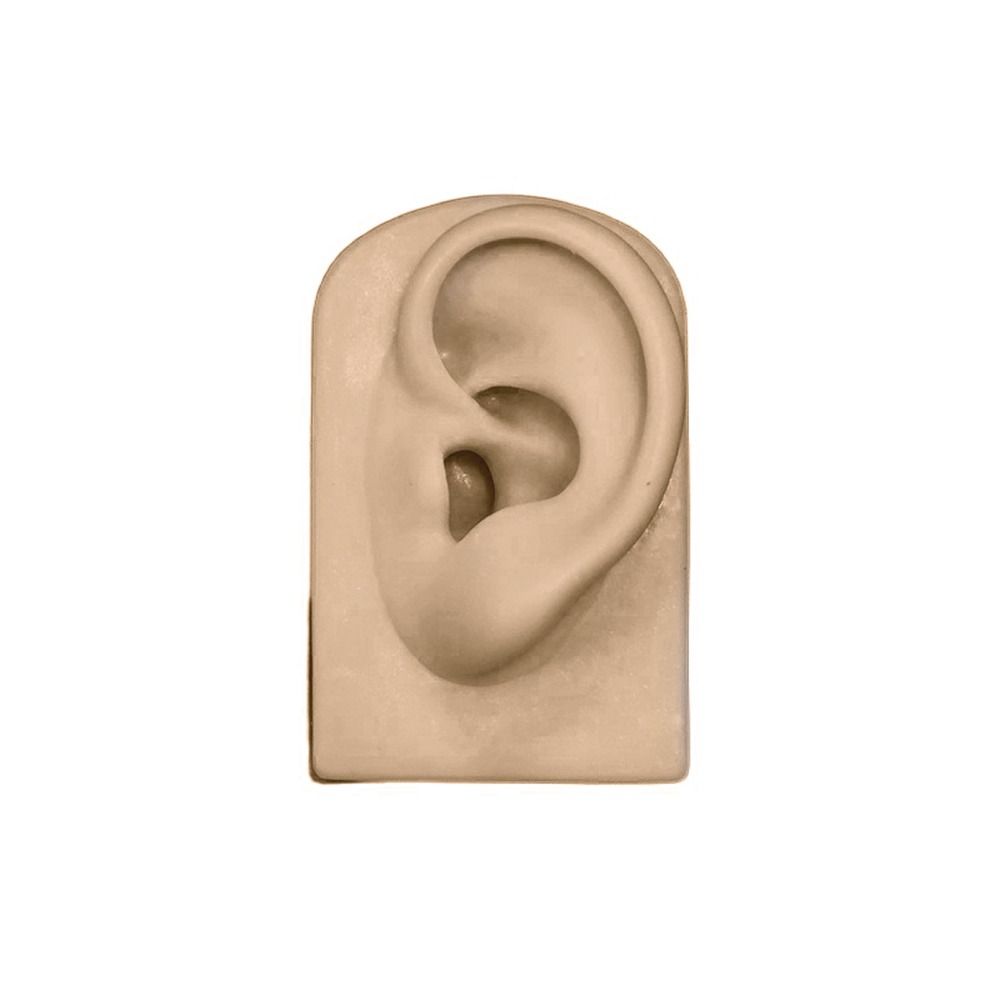 Tools Body for Hearing Teaching Simulation Ear Jewelry Earrings Display Silicone Ear Model Fake Ear