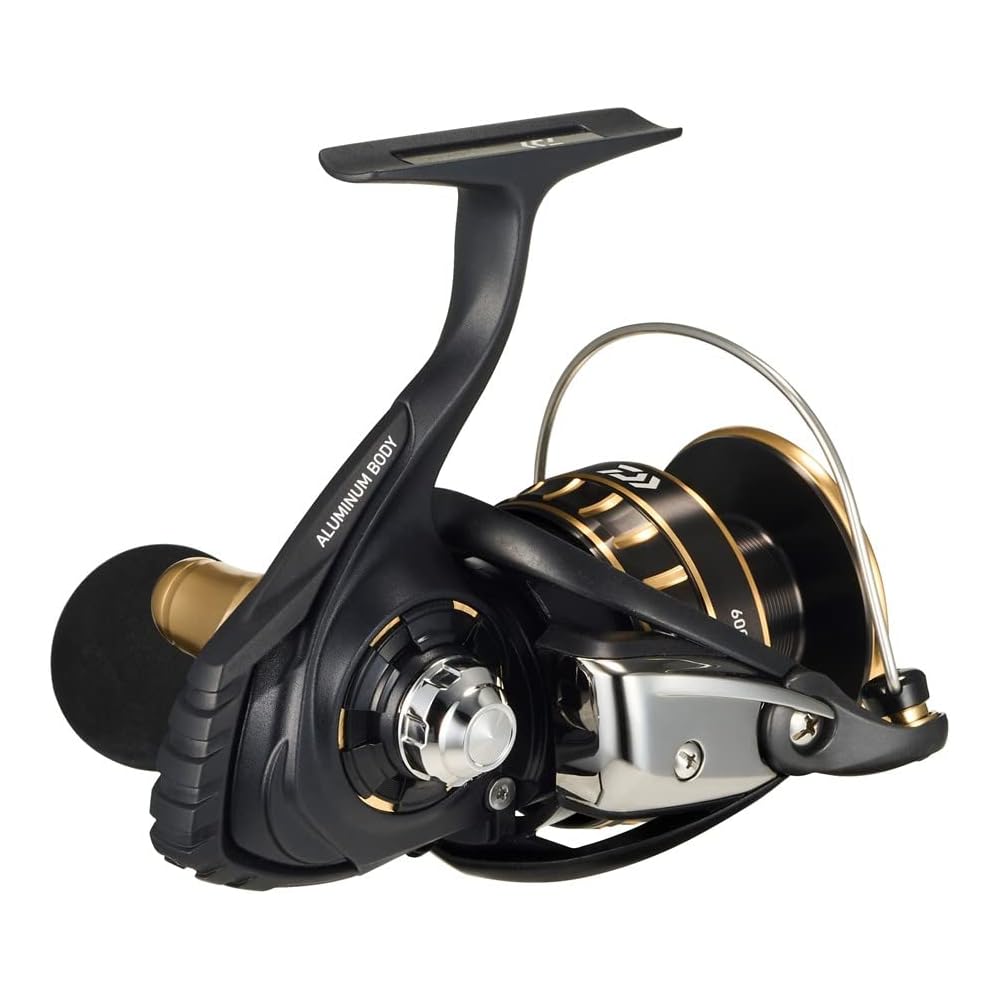 Daiwa Spinning Reel 23BG SW 6000D-P