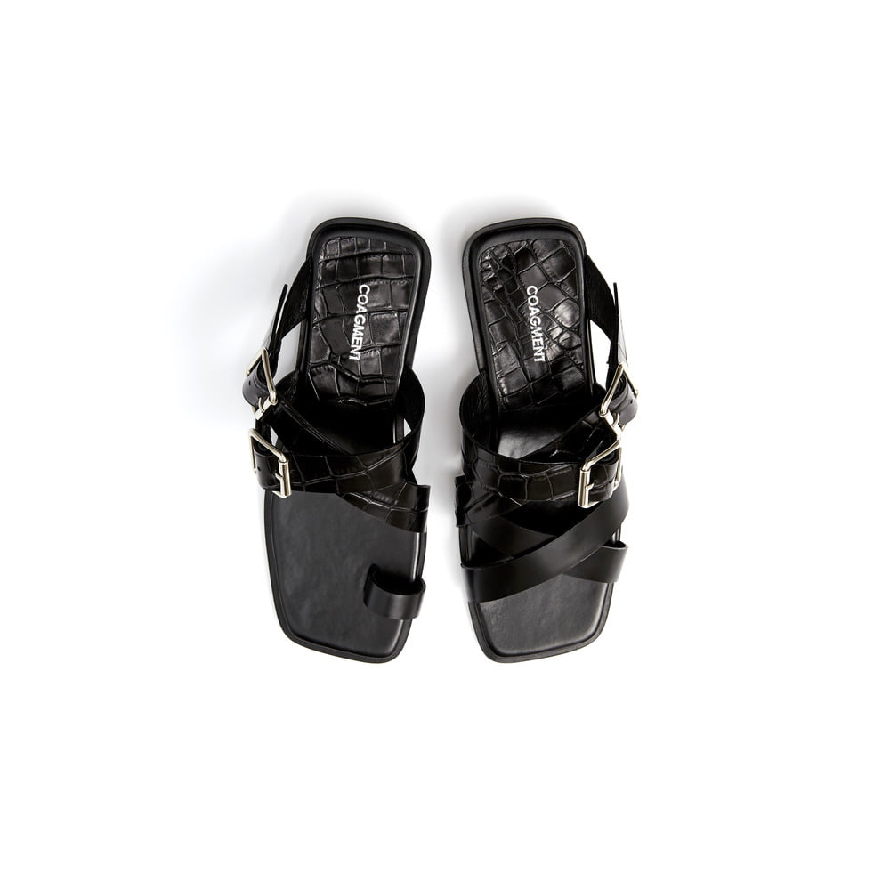 Coagment Cm19S201-Black [Dino]