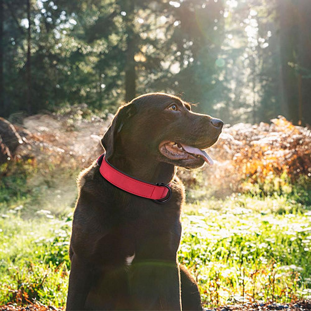 PU Leder Hundehalsband Weich Gepolstertes Hundehalsband Halskette Verstellbare Haustierhalskette Für Kleine Mittelgroße Große Hunde Pitbull Labrador Mops