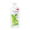 Scalp Anti-Dandruff Oil Control Shampoo