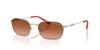 Armani Exchange Sunglasses Matte Silver Orange Gradient Brown 54mm 60207854 0AX2056S [ARMANI EXCHANGE]