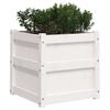 Plant Pot White 50x50x50 Cm Solid Pine Wood