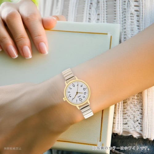 Fieldwork Women's Analog Watch with Bellows Strap, Stainless Steel, Brown, Maruru, YM118-3