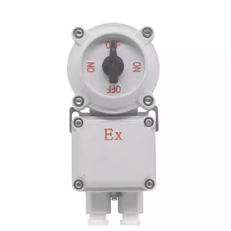 YuHengJi BHZ51-10A Explosion-proof Changeover Switch