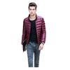 Men's Slim Fit Lightweight Down Jacket: Stand-Up Collar, Autumn/Winter Collection, Plus Sizes Available.