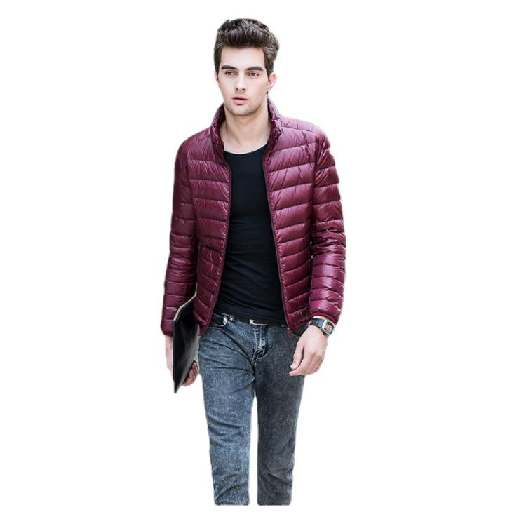 Men's Slim Fit Lightweight Down Jacket: Stand-Up Collar, Autumn/Winter Collection, Plus Sizes Available.