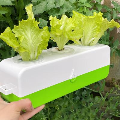 Self Absorbing Water Soilless Planting Pot DIY Hydroponics Kit Compact Tabletop Bonsai Decoration
