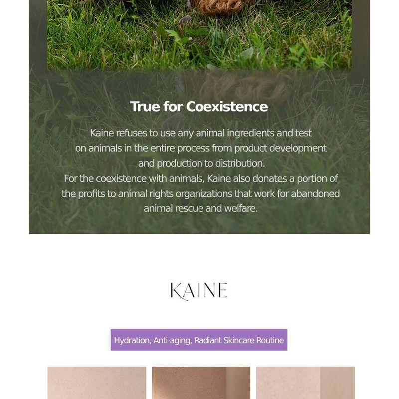 KAINE Kombu Ausgleichender Ampullen-Toner