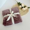 Thickened Double-Sided Fleece Children's Blanket - Plush Autumn/Winter Gift Cover