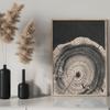 Set of 3 Tree Ring Wall Art Prints - Minimalist Abstract Decor - Matte Finish, Frameless Design, Perfect for All Seasons