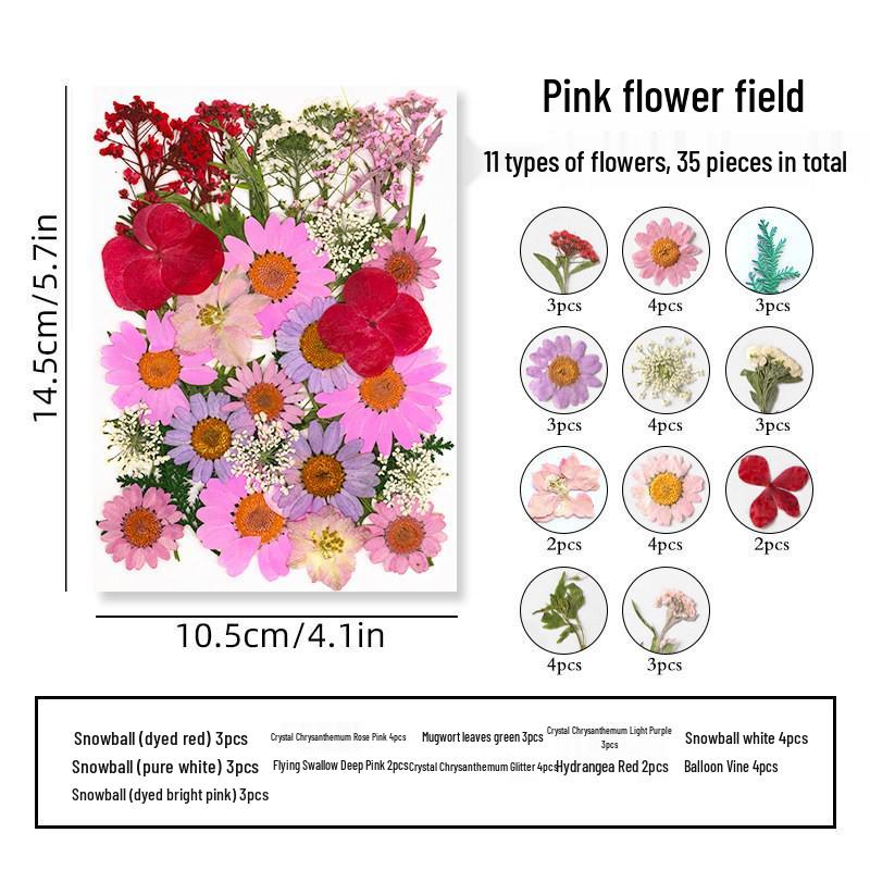 DIY Dried Flower Specimen Sticker Set for Kids: Handmade Pressed Flower Frames & Resin Bookmark Craft Kit