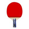 Double Fish 3-Star 3A+ Table Tennis Racket
