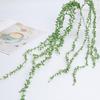 Wall Hanging Artificial Greenery: Potted Plants, Vines, and Plastic Succulents