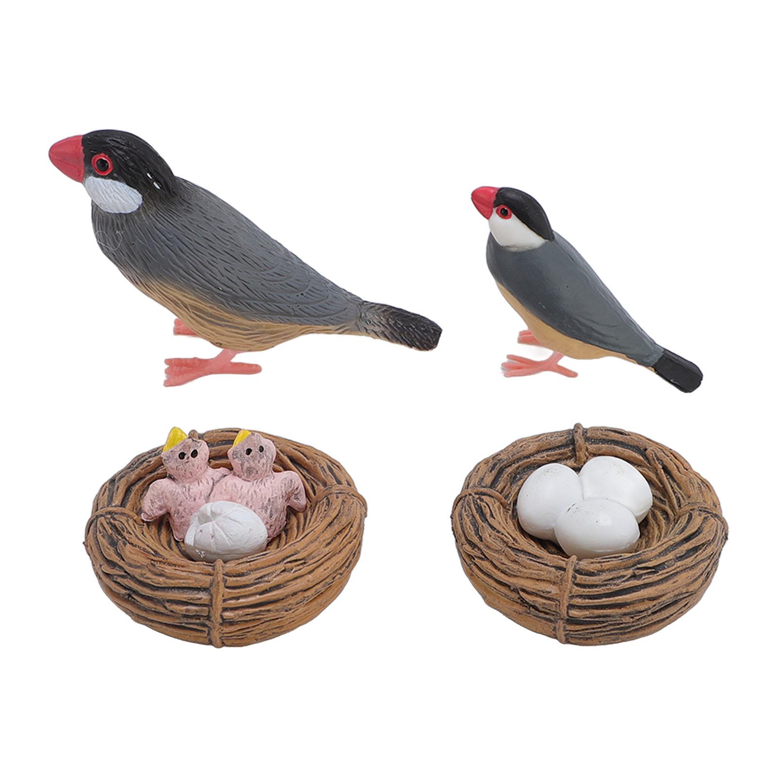 

Bird Model Set Simulated Bird Growth Cycle Hatching Toy for Sand Box Decoration and Early Education