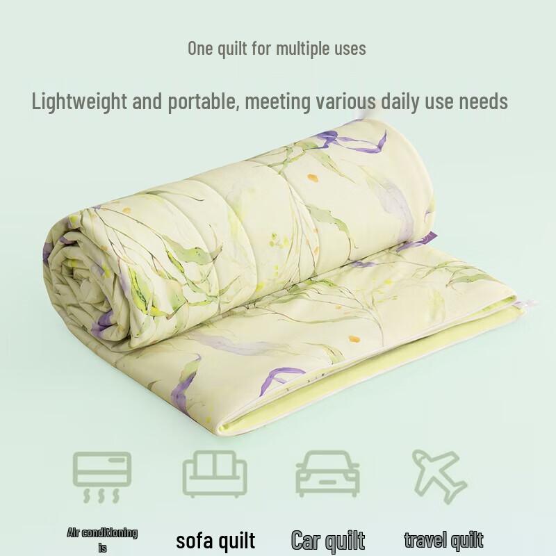 WeWoChunQing All-Season Silk Blend Duo Duvet