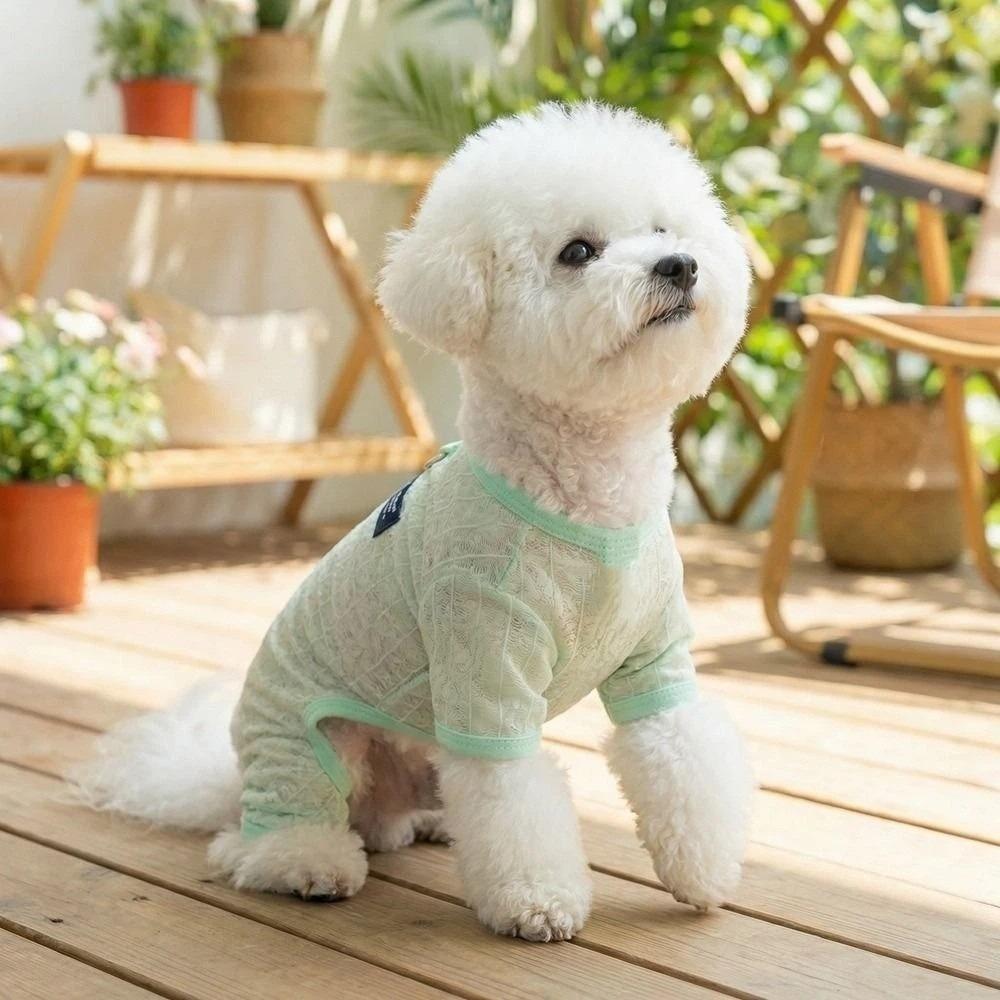 Hollow Mesh Dog Clothes Breathable Dog Outfit Pet Four-legged Wear  Indoor Outdoor Use