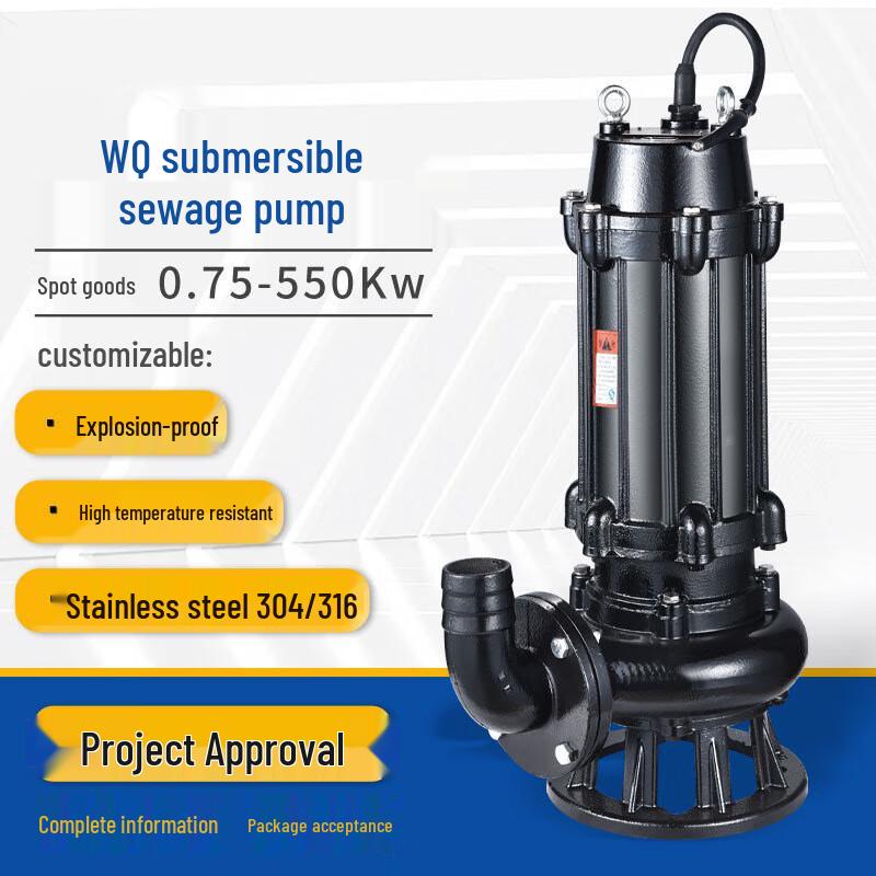 Star Record Flange Sewage Pump