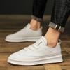 Male Shoes Classic Male Comfortable Sneakers 2024 New Arrival Outdoor Casual Shoes Luxury Brand All-match Skate Footwear Men