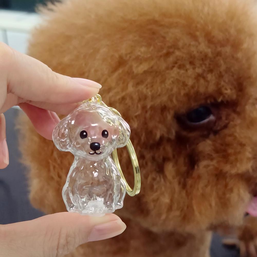 

Custom Name Capsule Pet s Cute Keyring Dog Hair Storage Box Pendant Keychain Collection Decoration Key Chain Ring Keepsake Gift