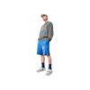 Li-Ning Pattern Printed Pullover Long Sleeve Sweatshirt Unisex Sweatshirt Gray AWDS555-4
