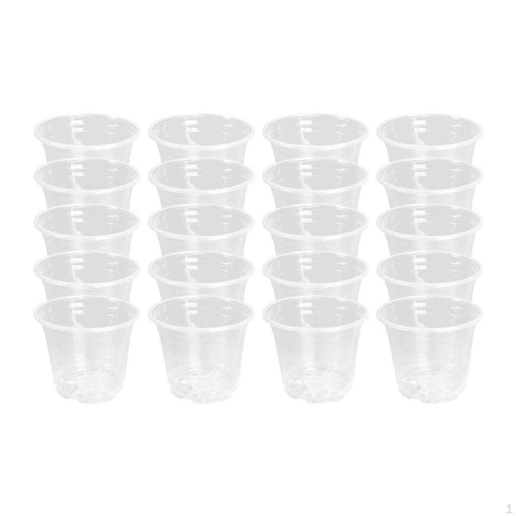 20 Clear Flower Planters for Seedling Development In Balconies