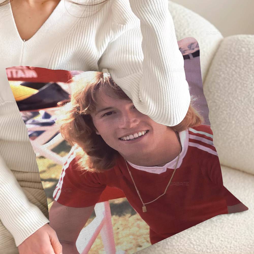 Cool Band B-bee G-gees 45*45cm Cushion Cover Pillow Cover Decor Pillowcase Home Pillowcase For Couch Pillow