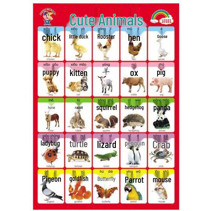 Waterproof Baby Pinyin & Character Recognition Wall Chart for Early Education