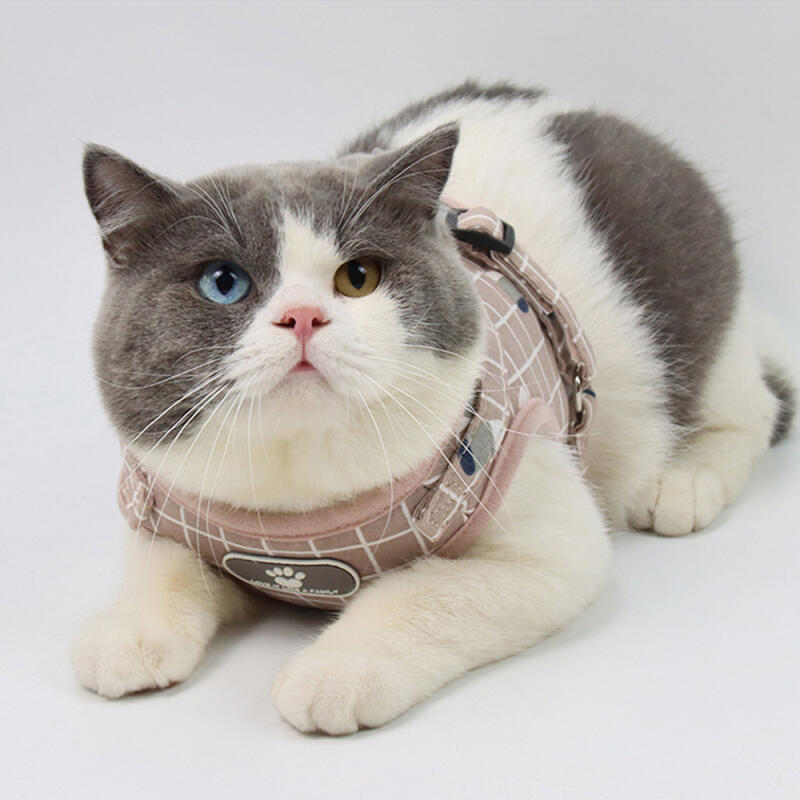 Dog Harness, Chest Strap, Leash, Running Leash, Walking, Outdoor Supplies