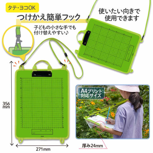 Plus File Binder Kansatsu Learning Board (Green) 79-712 FL-195SF