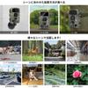 KJK Trail Camera Infrared Camera Security Camera with Smartphone App Compatible 8K Video 64MP Still Images Wildlife Monitoring Bird Surveillance