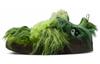 Cpfm Flea 1 Cactus Plant Flea Market Supradezvoltat DQ5109-300