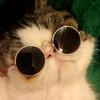 1 Stück Hunde Sonnenbrille Katze Haustier Produkt Lieblich Vintage Rund Reflexion Augenbekleidung Brille Kleiner Hund Katze Haustier Foto Requisiten Zubehör