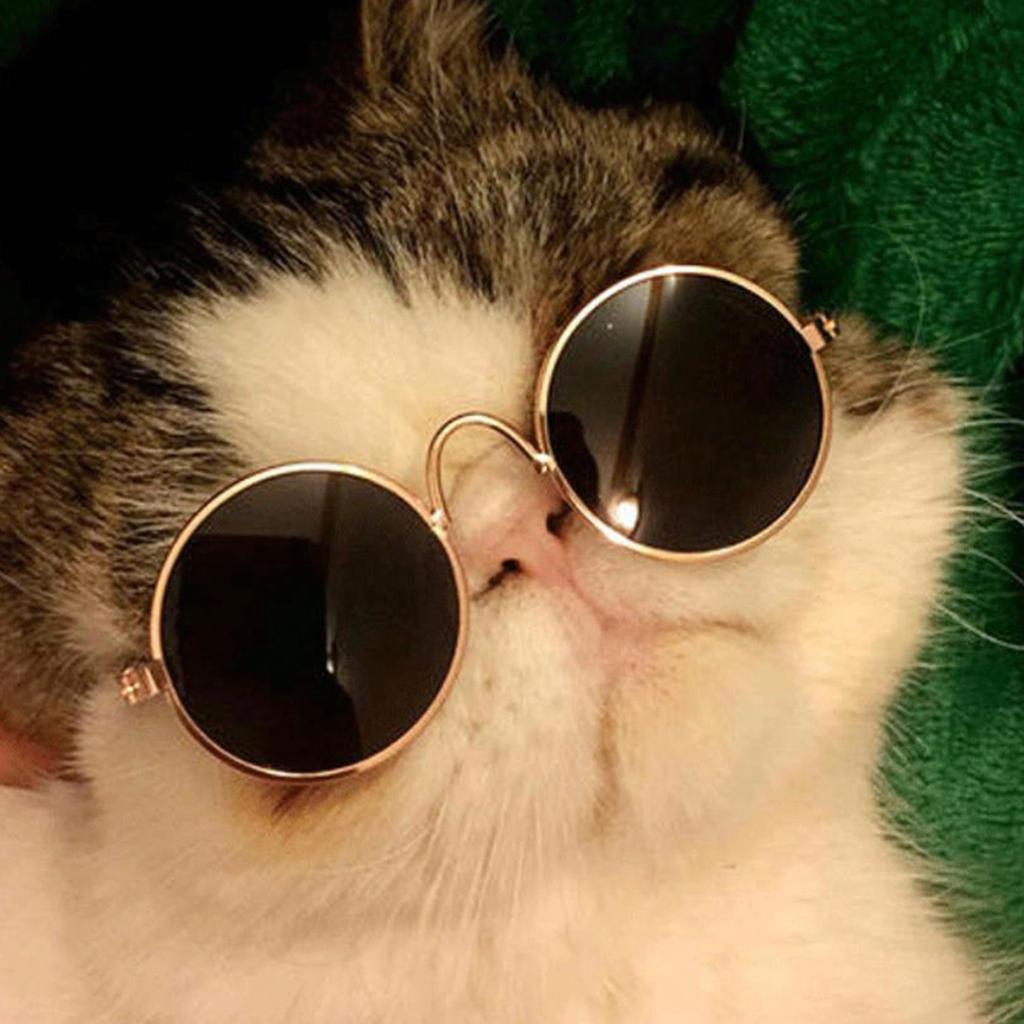 1 Stück Hunde Sonnenbrille Katze Haustier Produkt Lieblich Vintage Rund Reflexion Augenbekleidung Brille Kleiner Hund Katze Haustier Foto Requisiten Zubehör