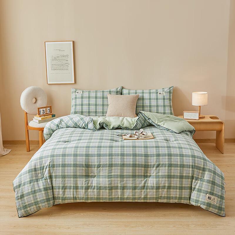

Qingyi Green Plaid All-Season Fiber Comforter