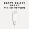 Panasonic with In-Ear Headphones, Wired, Microphone, Type-C, White, RP-HJE150C-W