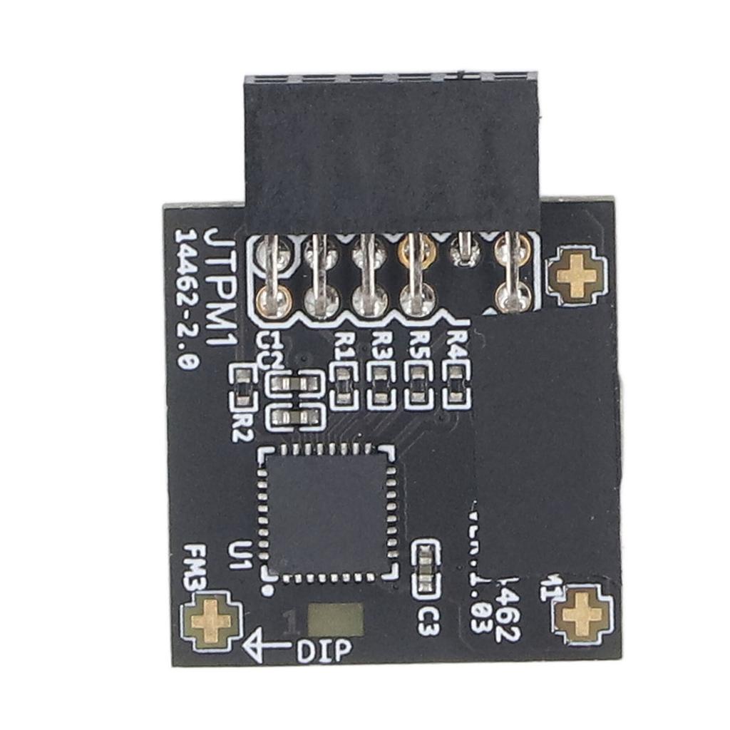 TPM2.0 Module TPM SPI 12Pin Module with SLB 9670 Security Module for Windows 10 11 Motherboards