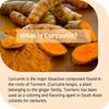 Pslalae Turmeric Capsules, for joint health, containing 1000 mg of turmeric complex, suitable for both men and women.