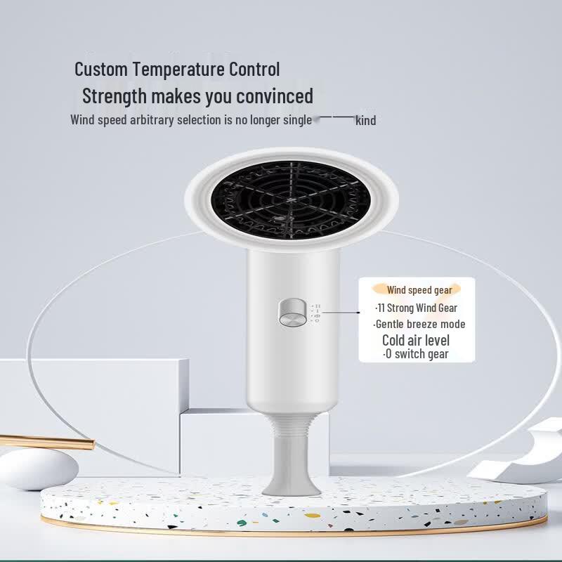LISM Wall-Mounted Negative Ion Hair Dryer