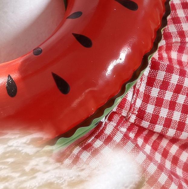 7-Inch Desktop Goose Costume with Swim Ring Skirt Set - Cute Summer Beach Vacation Outfit for Pool Party Mini Plush Figure Novelty Wear In Beach
