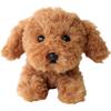 Sun Lemon Knees Toy Poodle Br Ss 15 X 26 X 12 Cm Plush Animal Cute Dog Dog P 8082 Toy Poodle Brown Ss