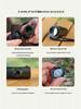 Seven-in-One Survival Whistle: LED Light, Thermometer, Compass, and More