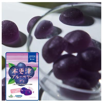 Of 10 Kaneka Foods Kisarazu Blueberry Fruit Juice Contains Labre Lactic Acid 40g X 10 Gummy Large Capacity [Set Bags] Gummy, Gummy, Bacteria, Bags,